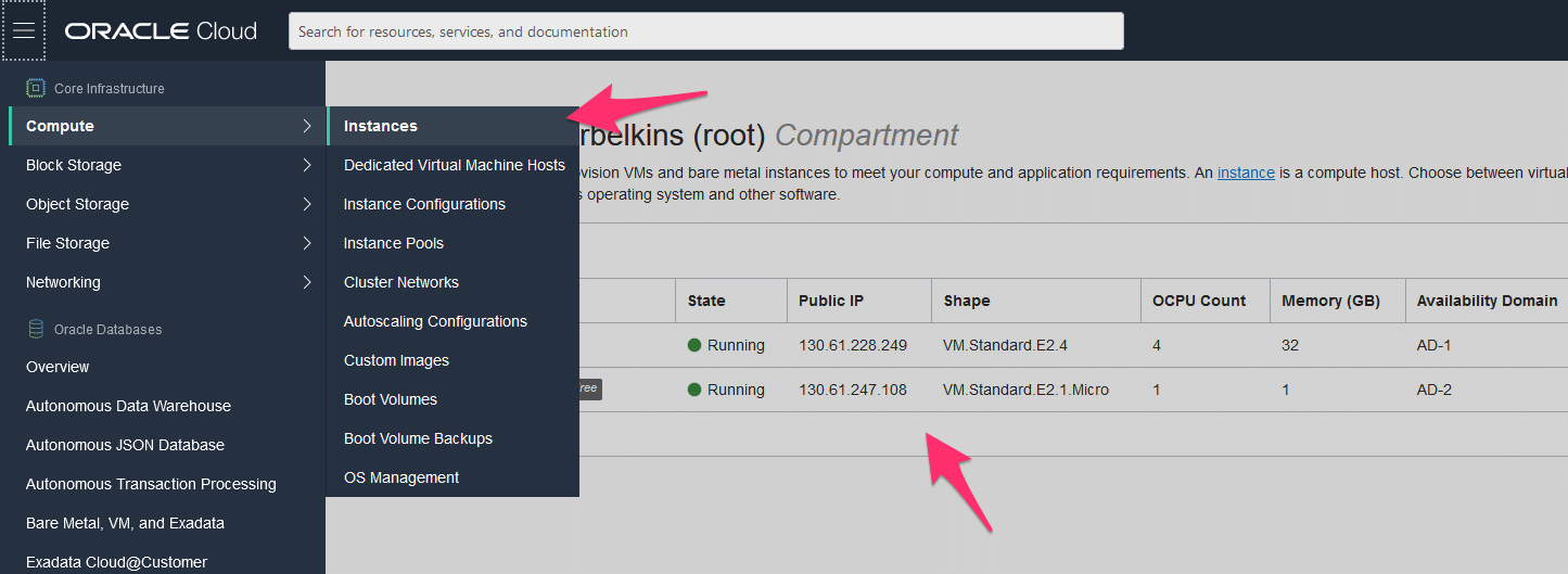 VM instance IP